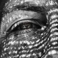 /album/nus-indiscretion-et-sensualite/a2019-expo-nus-indiscretion-et-sensualite-10-jpg/